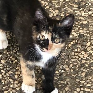 Meet your Posher, Amber